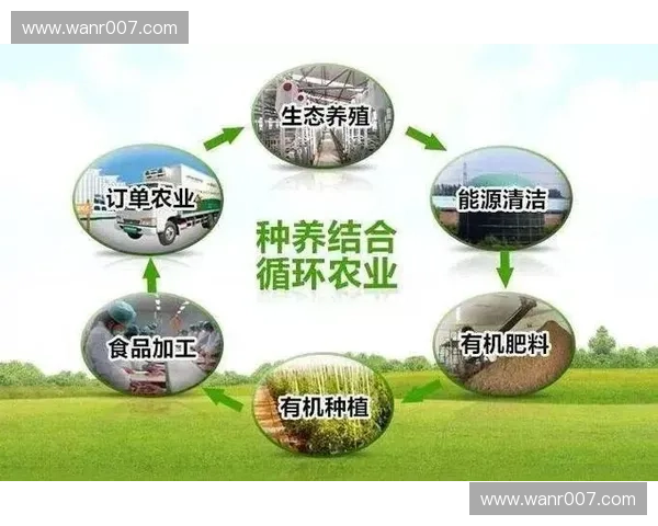 打造以体育品牌孵化为核心的多元创新生态发展路径研究新模式探索