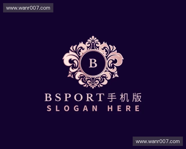 认识Bsport手机版